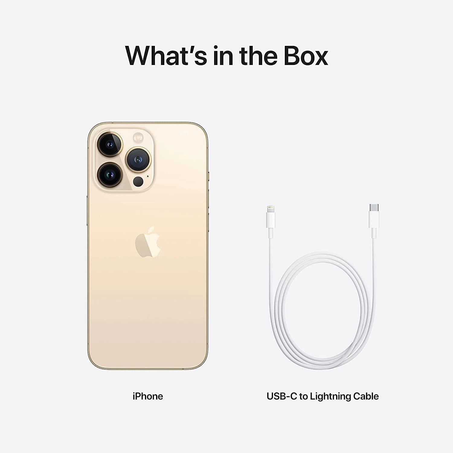 Apple iPhone 13 Pro 1TB Gold Sim-Free Unlocked Mobile Phone