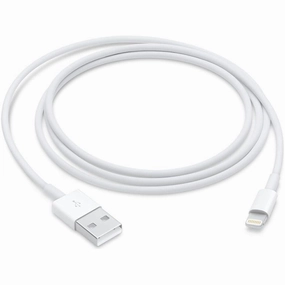 Apple Lightning to USB Cable (1m) Pack of 1 nintendo switch accessories, buy nintendo switch, best switch games