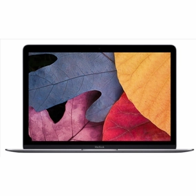 Apple MacBook 12" (Early 2015) - Core M 1.1GHz, 8GB RAM, 256GB SSD - Space Grey computer monitors, 4k monitor for work, gaming monitors sale