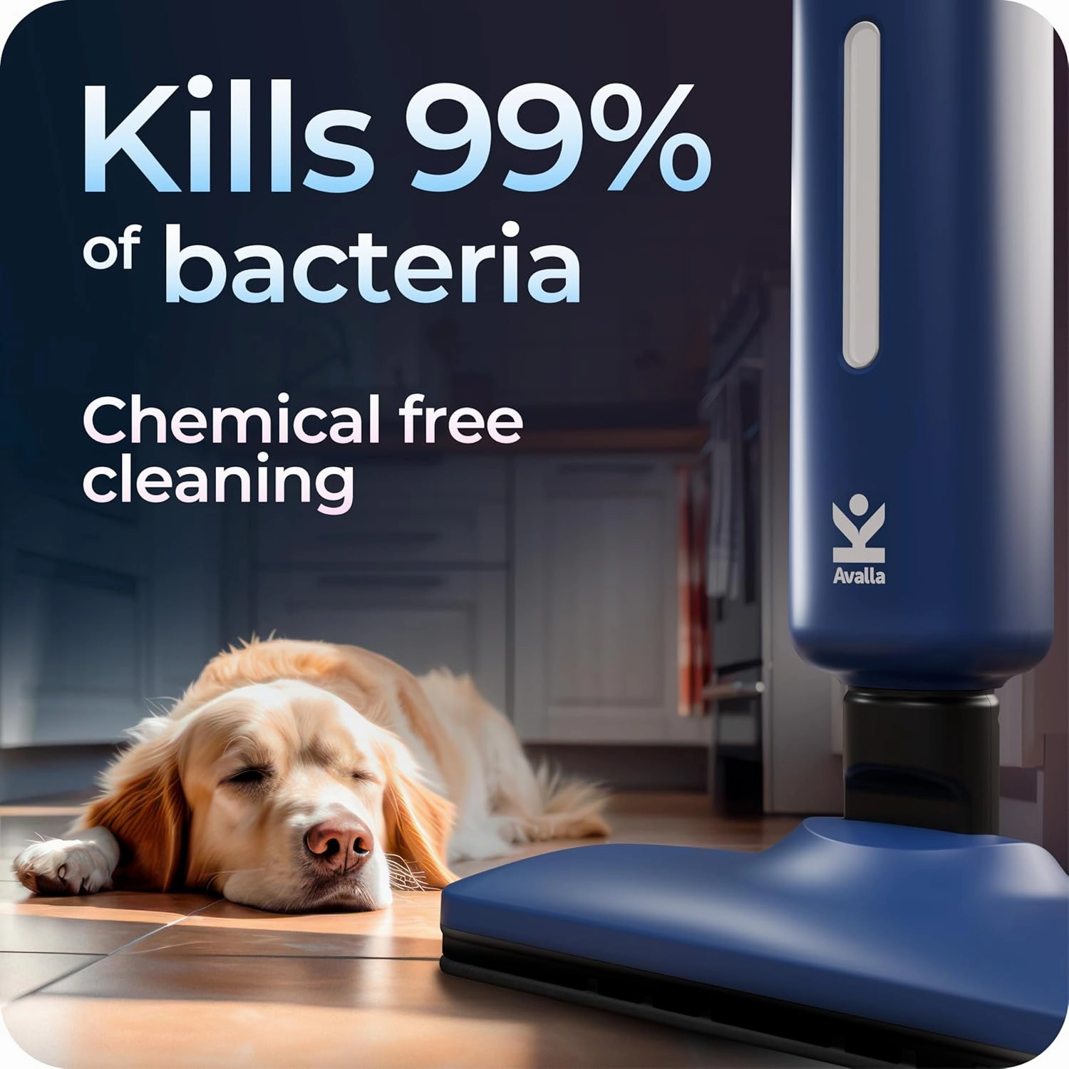 Avalla T-20 high pressure steam mop - blue