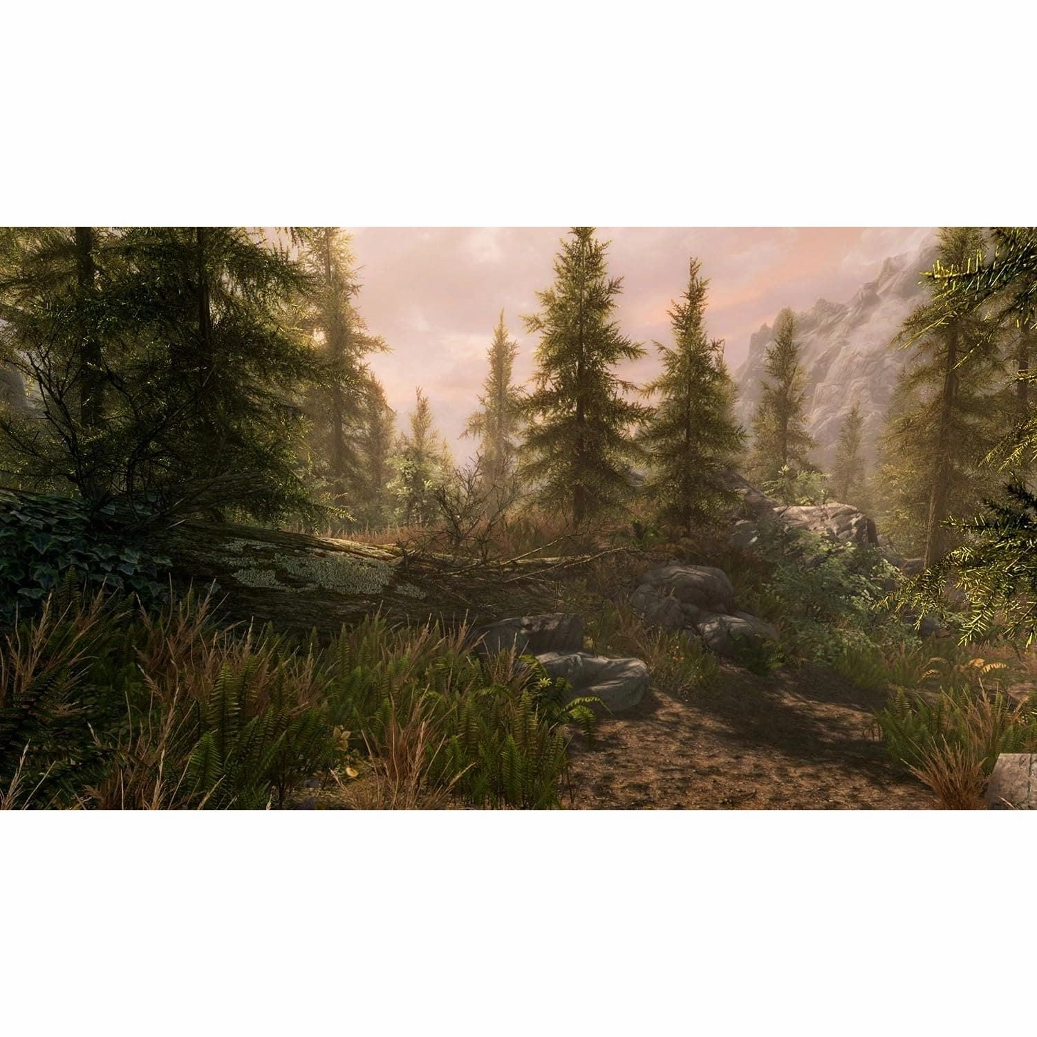 Bethesda Elder Scrolls V: Skyrim Special Edition (Xbox One)