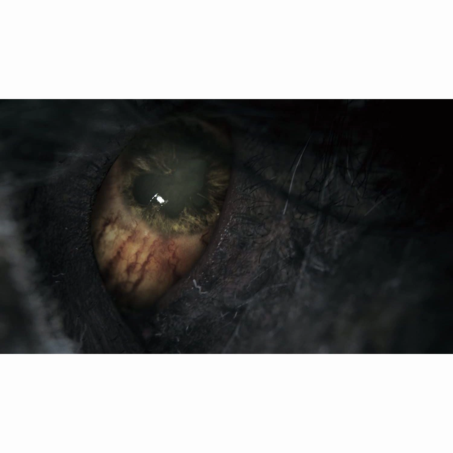 Bloodborne (PS4)