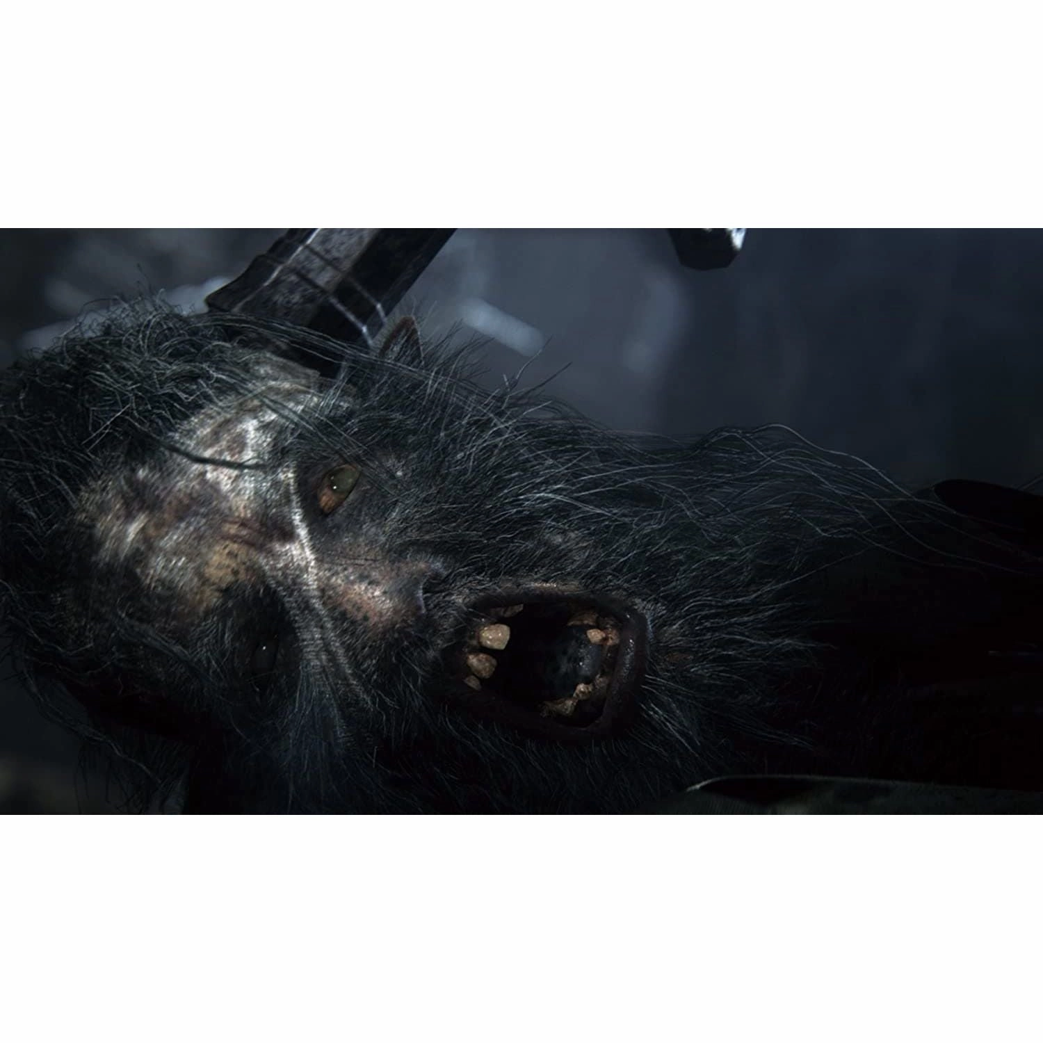 Bloodborne (PS4)