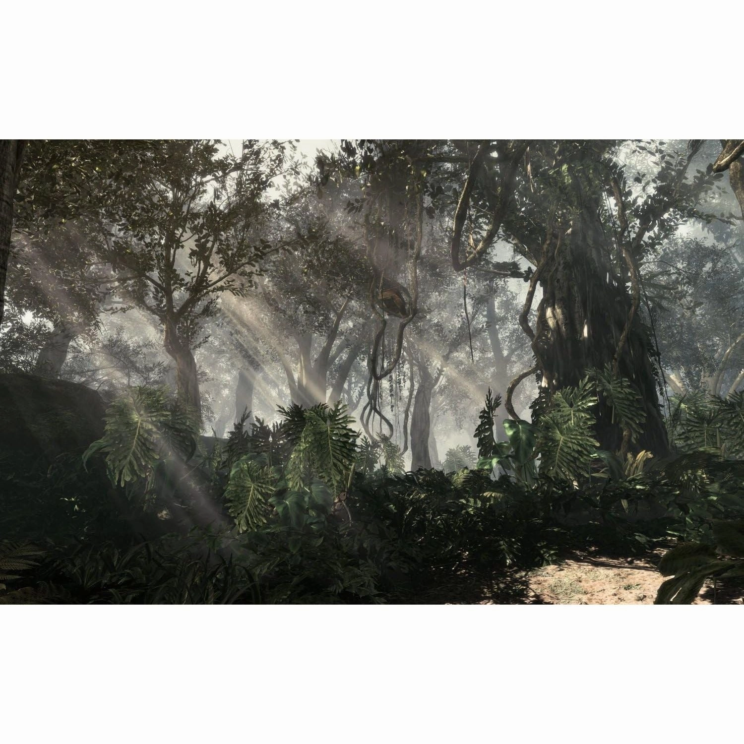 Call of Duty: Ghosts - PS4 Game