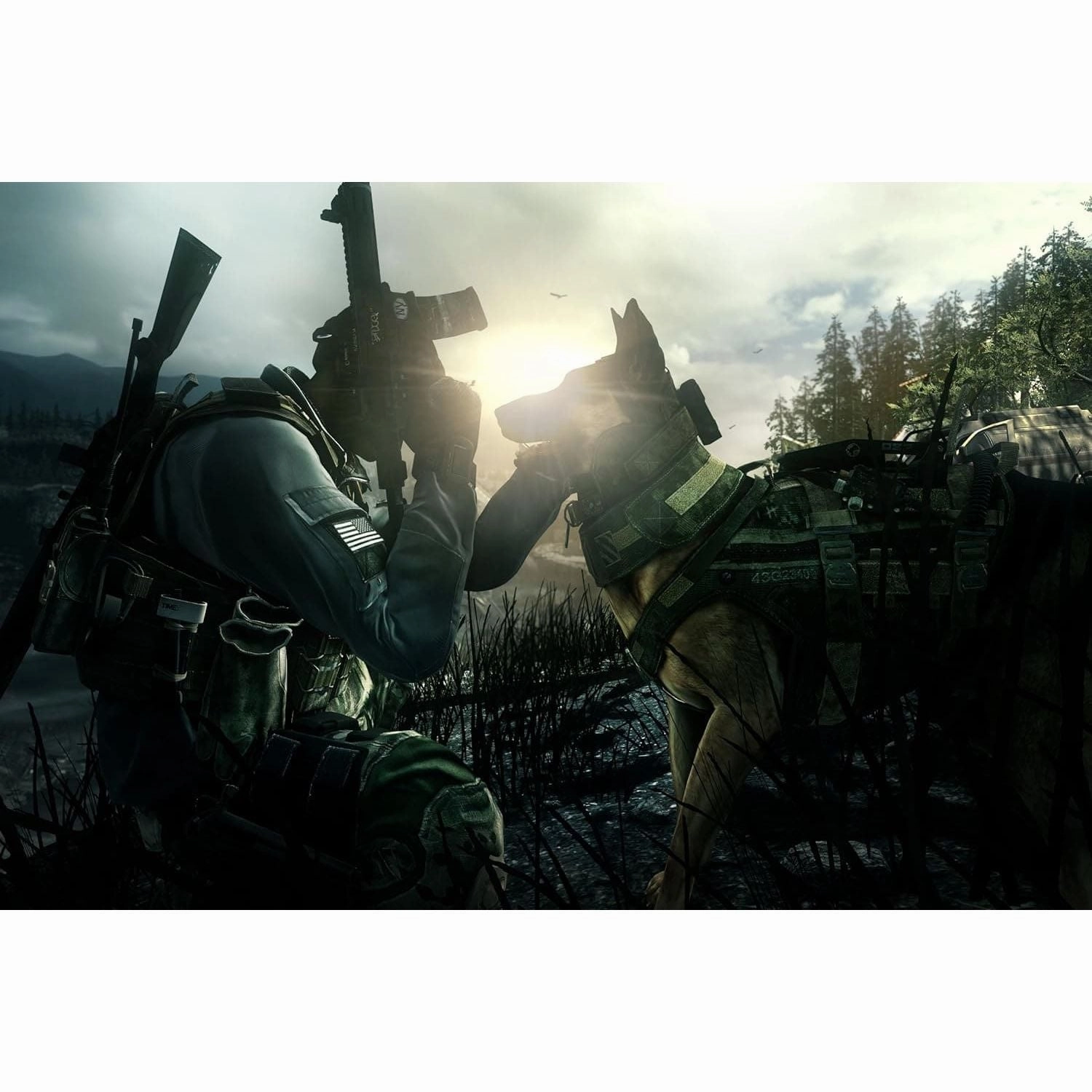 Call of Duty: Ghosts (PS4)