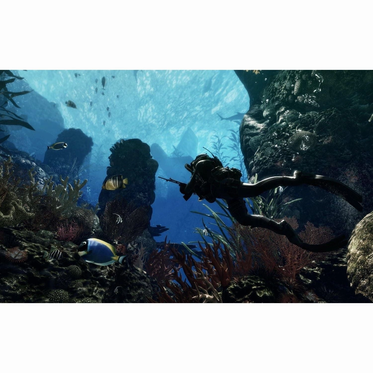 Call of Duty: Ghosts (PS4)