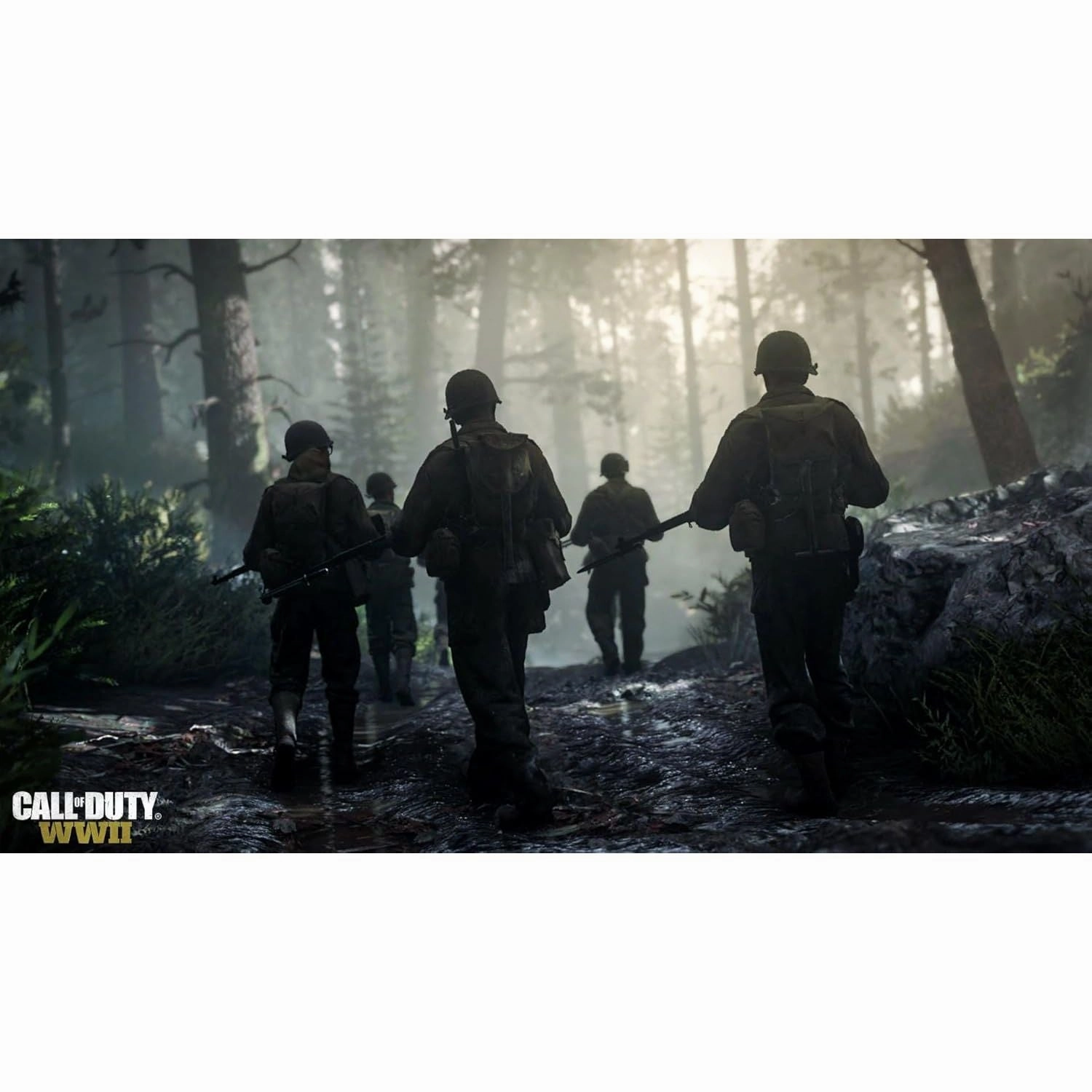 Call of Duty: WWII -  PS4 Game