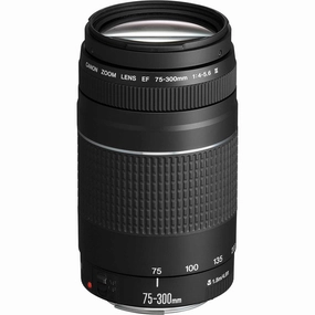 Canon Black, EF 75 - 300 mm f/4.0 - 5.6 III Filter Size 58 mm Zoom Lens camera and photography, photography gear, professional camera kits