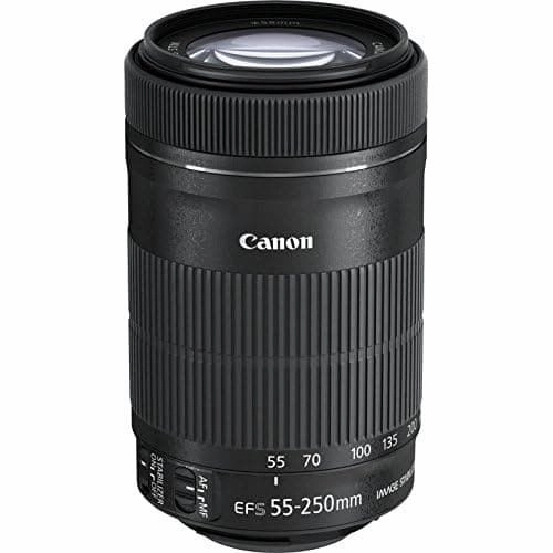 Canon EF-S 55-250mm f/4-5.6 IS STM Lens