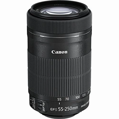 Canon EF-S 55-250mm f/4-5.6 IS STM Lens