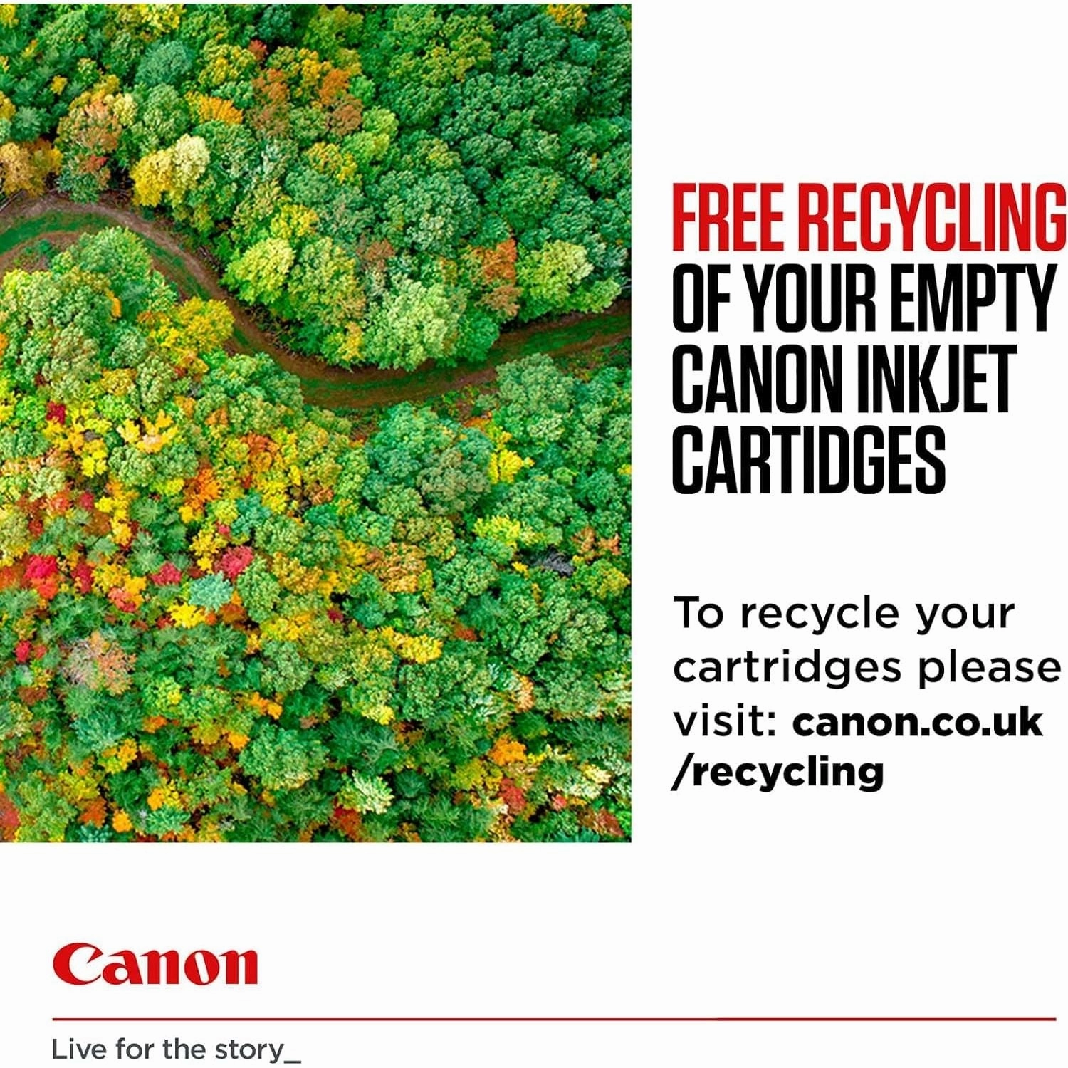 Canon Genuine Ink Cartridges PG-545XL/C-546 XL   Photo Paper Value Pack For Selected T, TR, IP, MX and MG Series, Black/Yellow/Magenta/Cyan