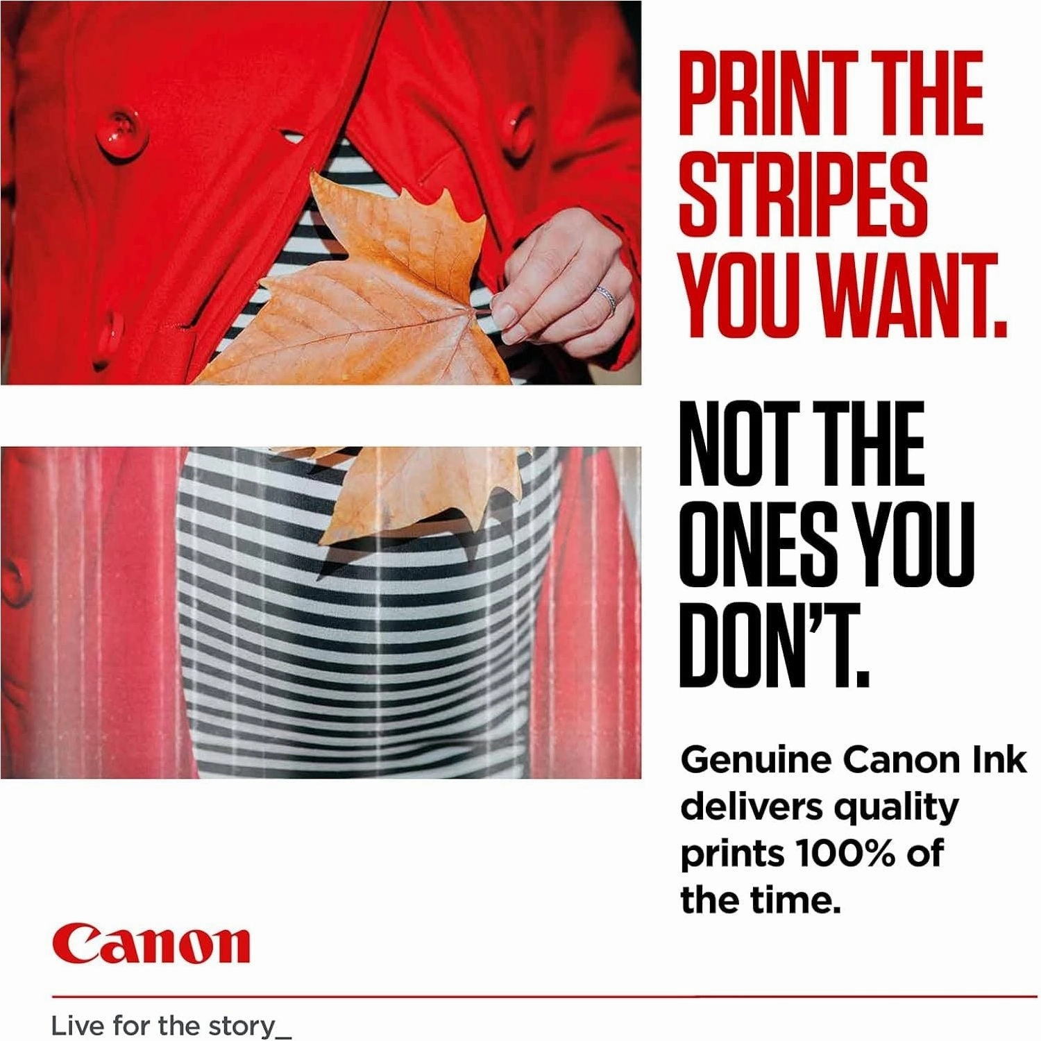 Canon Genuine Ink Cartridges PG-545XL/C-546 XL   Photo Paper Value Pack For Selected T, TR, IP, MX and MG Series, Black/Yellow/Magenta/Cyan