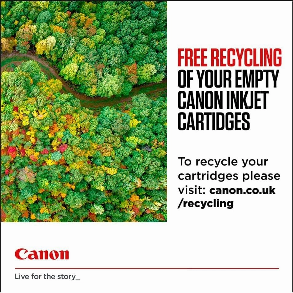 CANON PG-545 / CL-546 Ink Black and Colour Standard Capacity Black 180 SS Colour, Pack of 2 Blister without Alarm