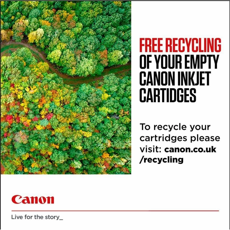 CANON PG-545 / CL-546 Ink Black and Colour Standard Capacity Black 180 SS Colour, Pack of 2 Blister without Alarm