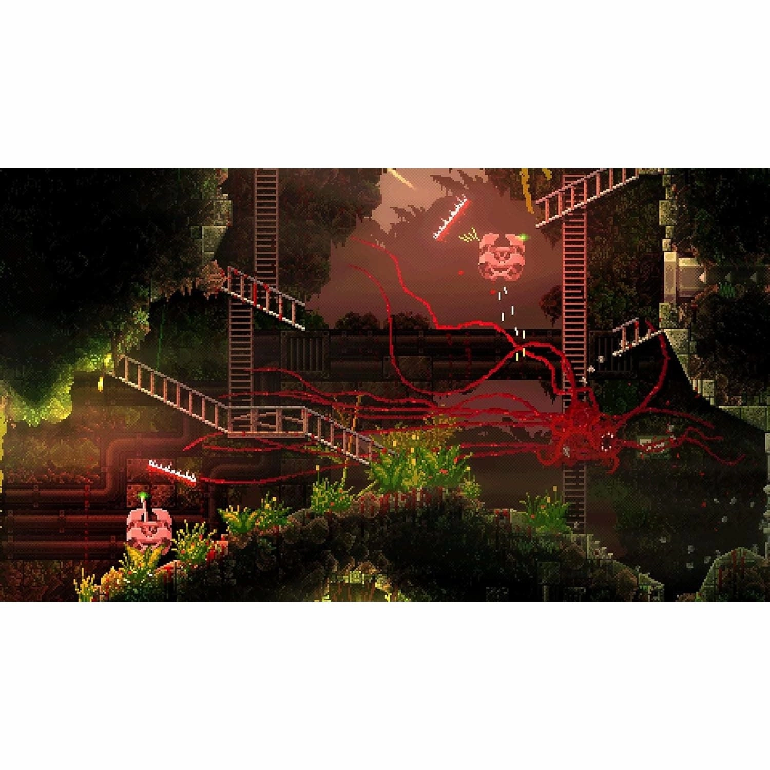 Carrion -  Nintendo Switch