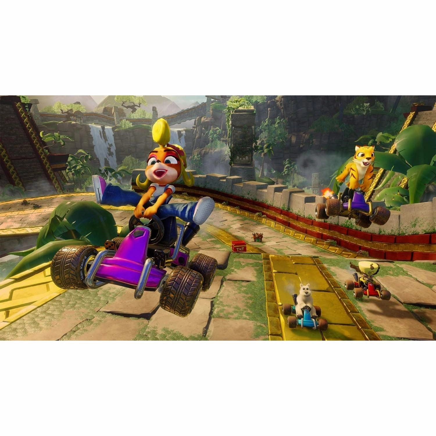 Crash Team Racing Nitro-Fueled (PS4)