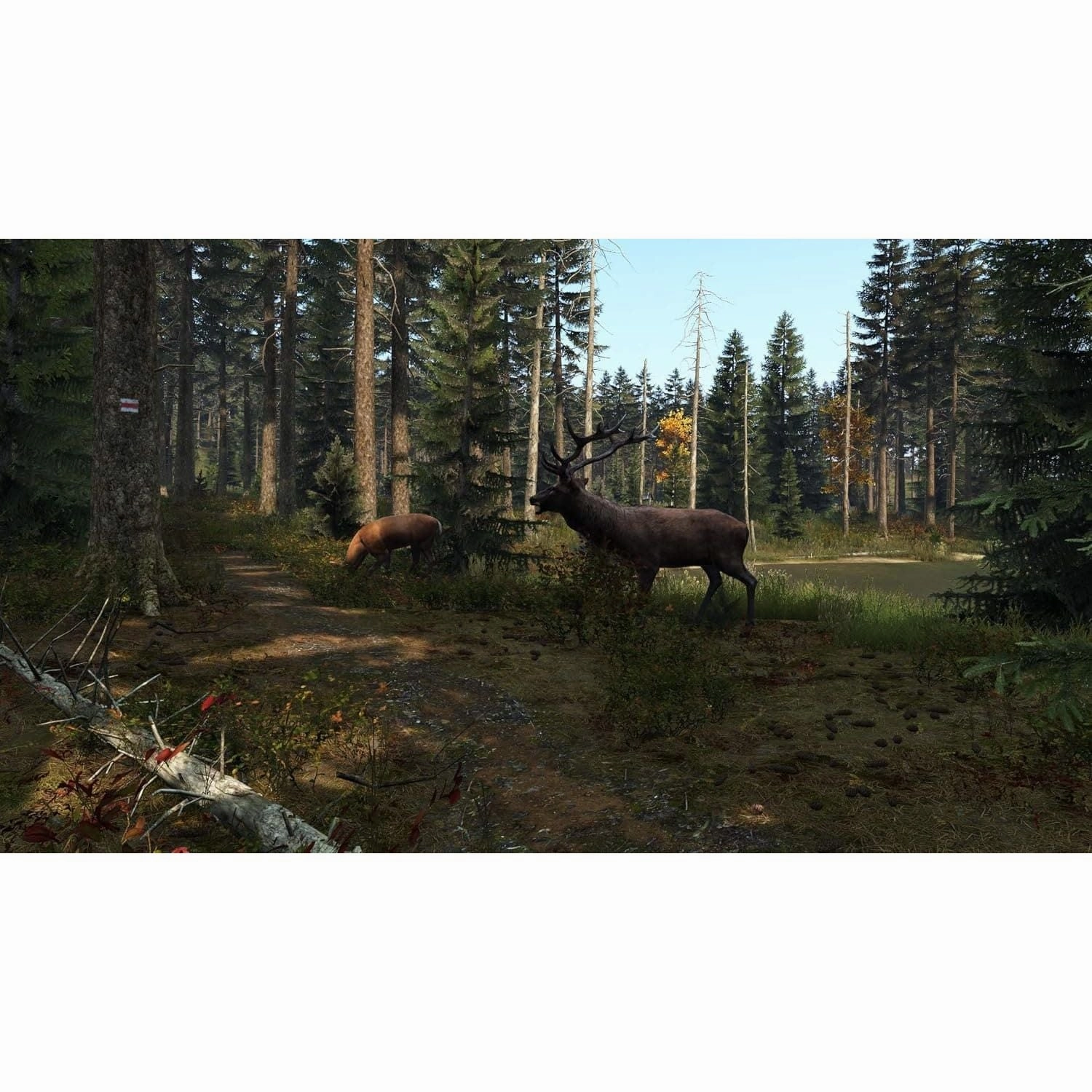 Dayz (PS4)
