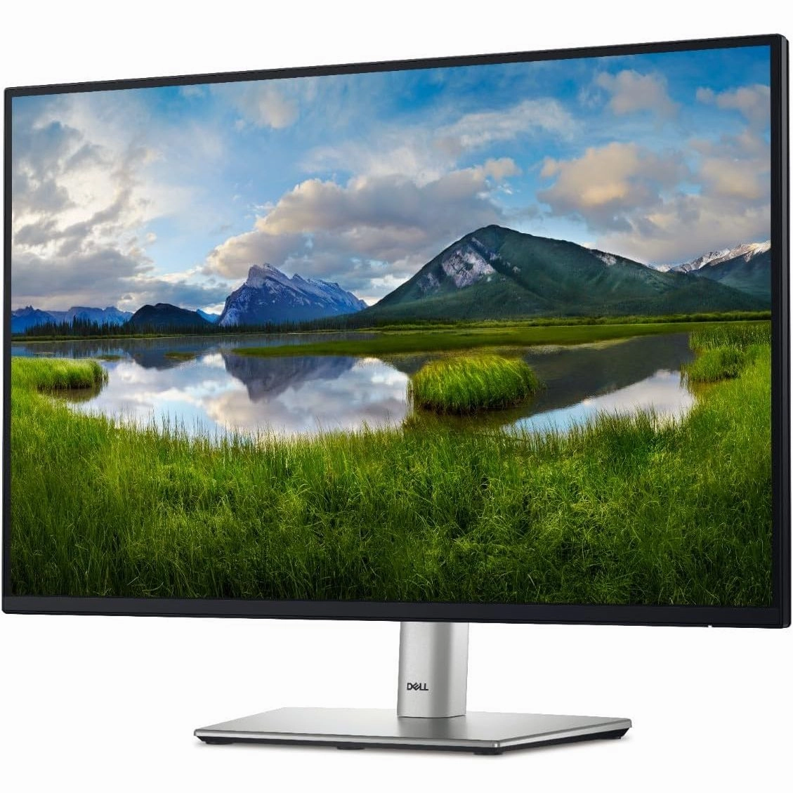 Dell P2425 24" WUXGA Monitor