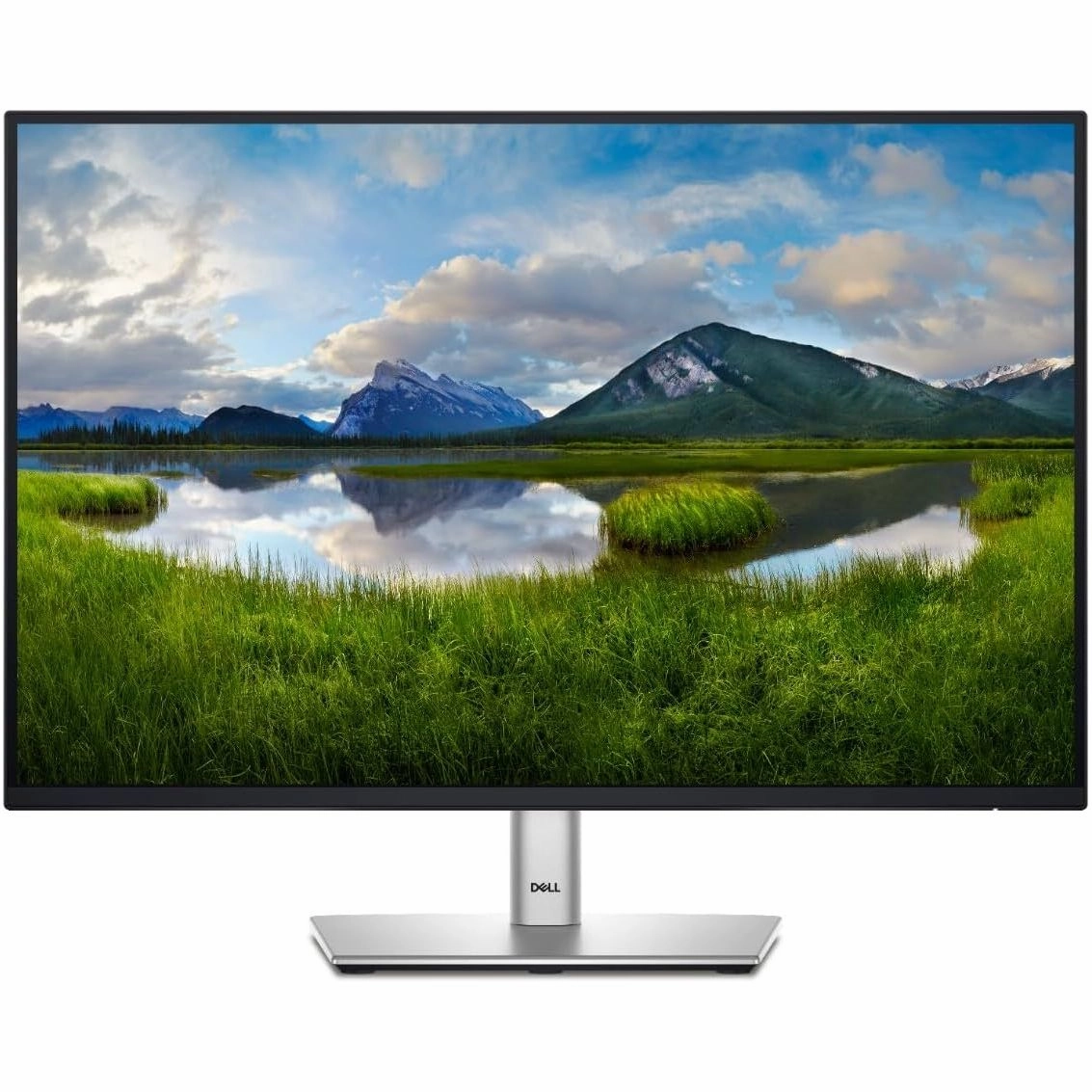 Dell P2425 24" WUXGA Monitor