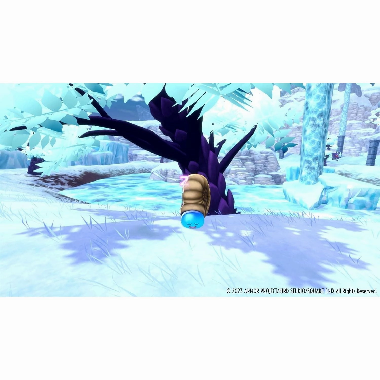 Dragon Quest Monsters: The Dark Prince (Nintendo Switch)