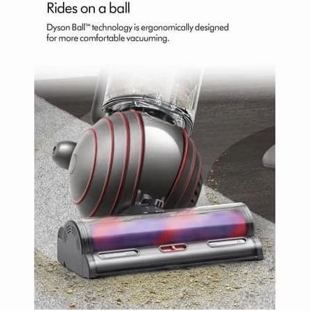 Dyson Ball Animal Origin Upright Corded Vacuum Cleaner