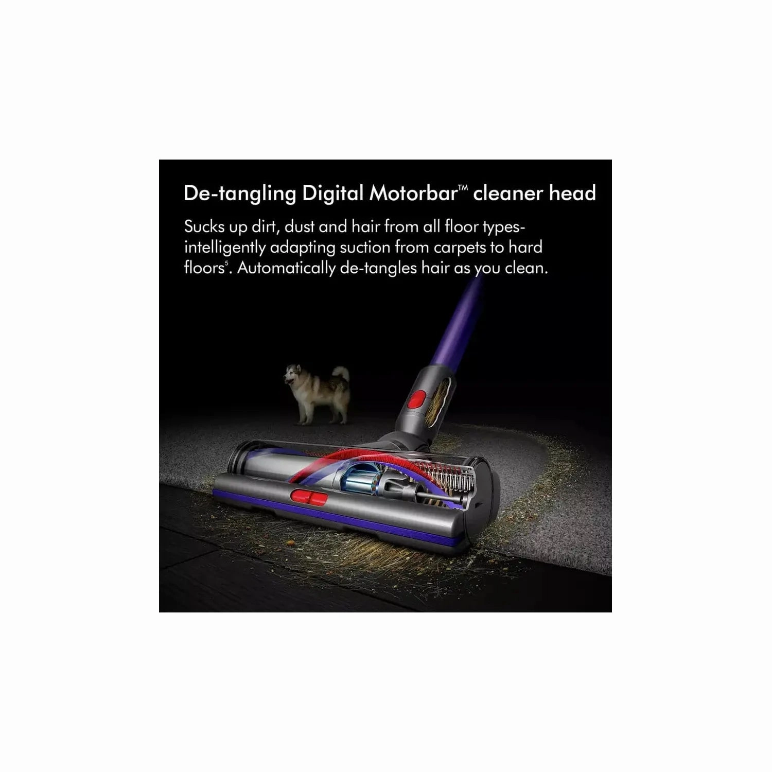 Dyson Gen5detect Absolute Pet Cordless Vacuum Cleaner