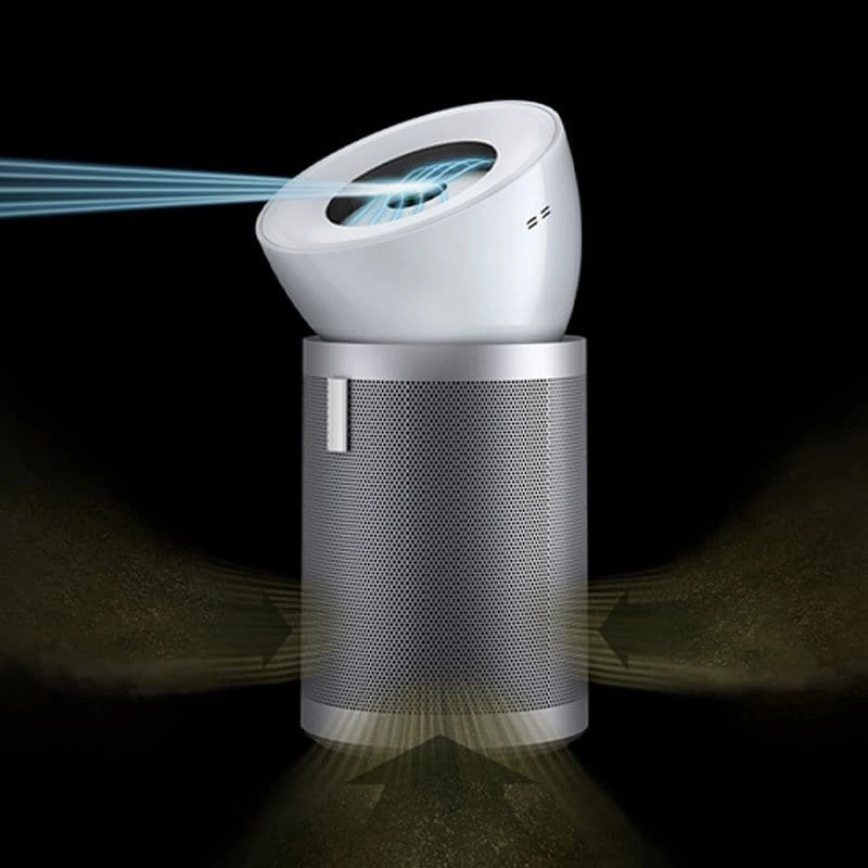 Dyson HEPA Big Quiet Formaldehyde