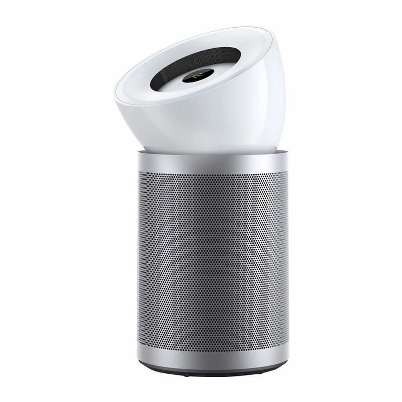 Dyson HEPA Big Quiet Formaldehyde