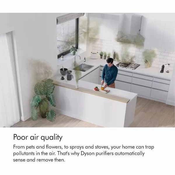 Dyson Purifier Cool Gen1 TP10  White Purifying Fan