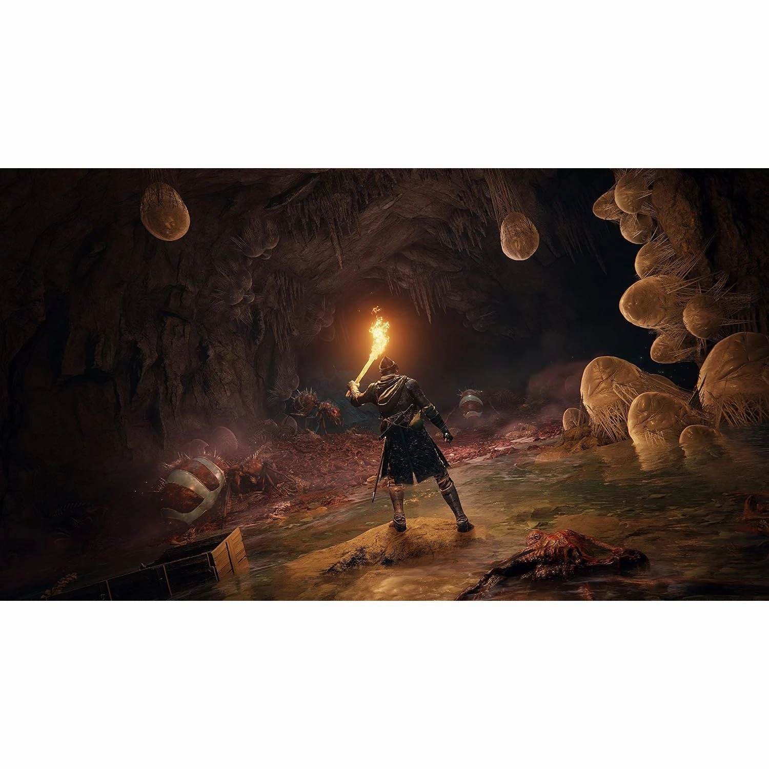Elden Ring - PS5 Game