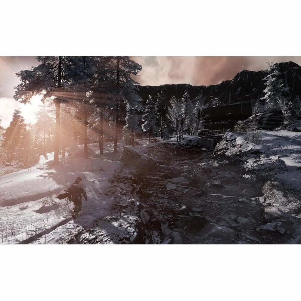 Fade To Silence (PS4)