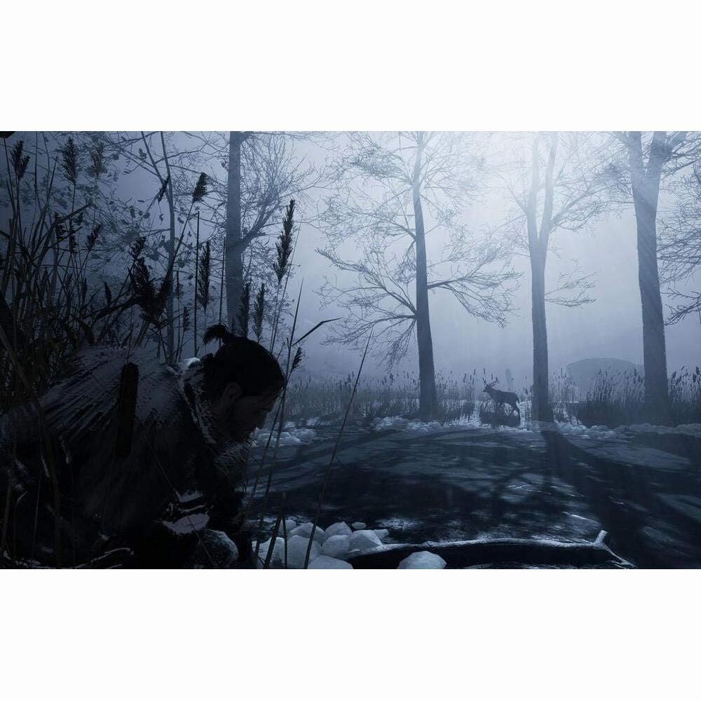 Fade To Silence (PS4)