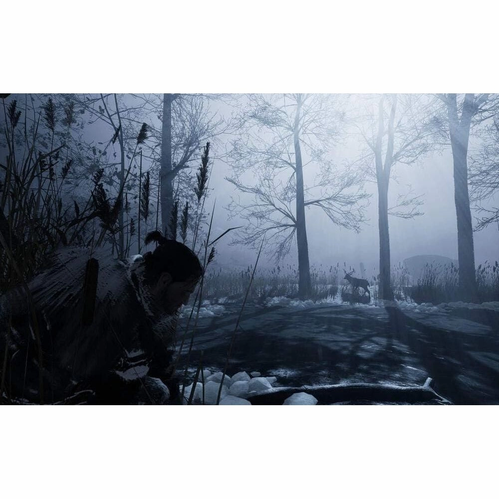 Fade To Silence (PS4)