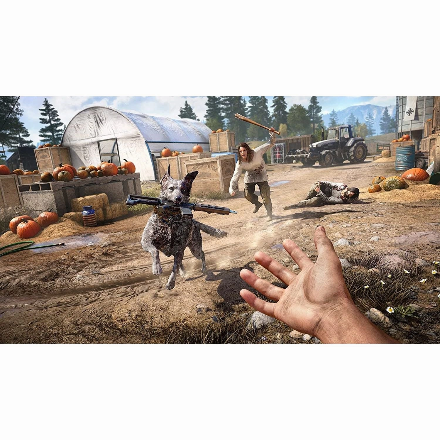 Far Cry 5 (Xbox One)