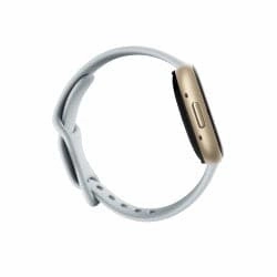 Fitbit Sense 2 Smart Watch - Blue Mist/ Soft Gold