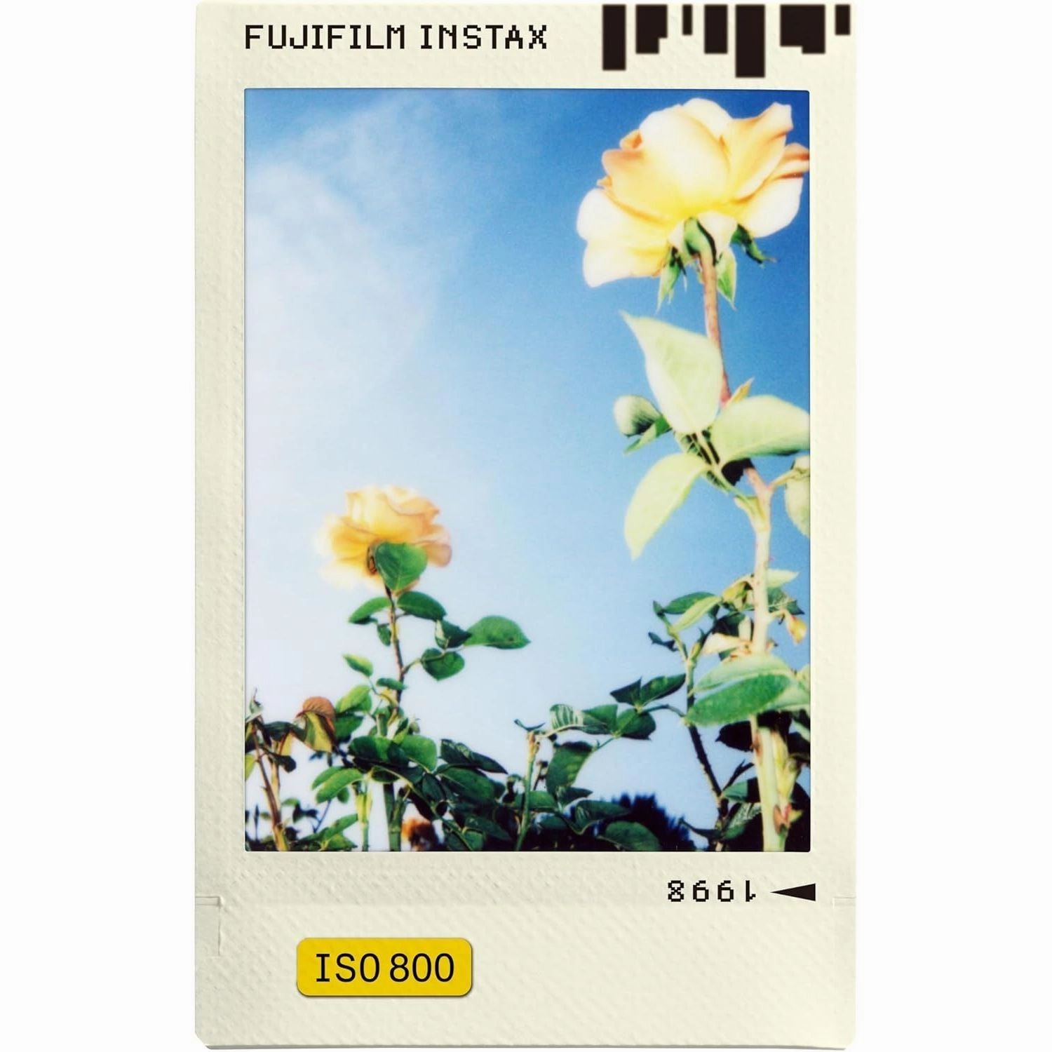 Fujifilm instax mini Instant Film Photo Slide Border Design  10 Shot Pack