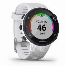 Garmin Forerunner 45S Running Watch - White