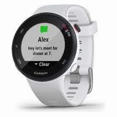Garmin Forerunner 45S Running Watch - White