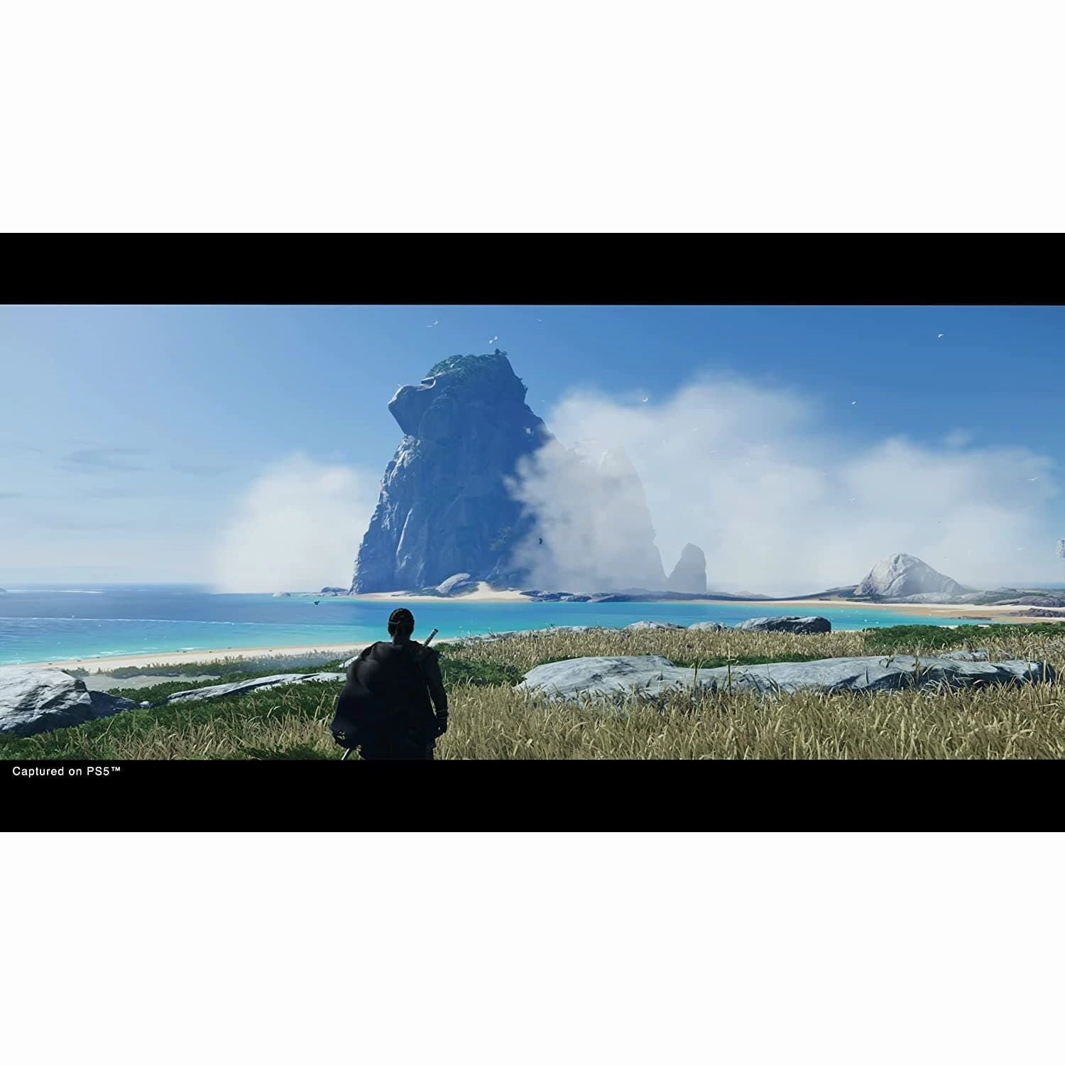 Ghost Of Tsushima Director's Cut for PS5
