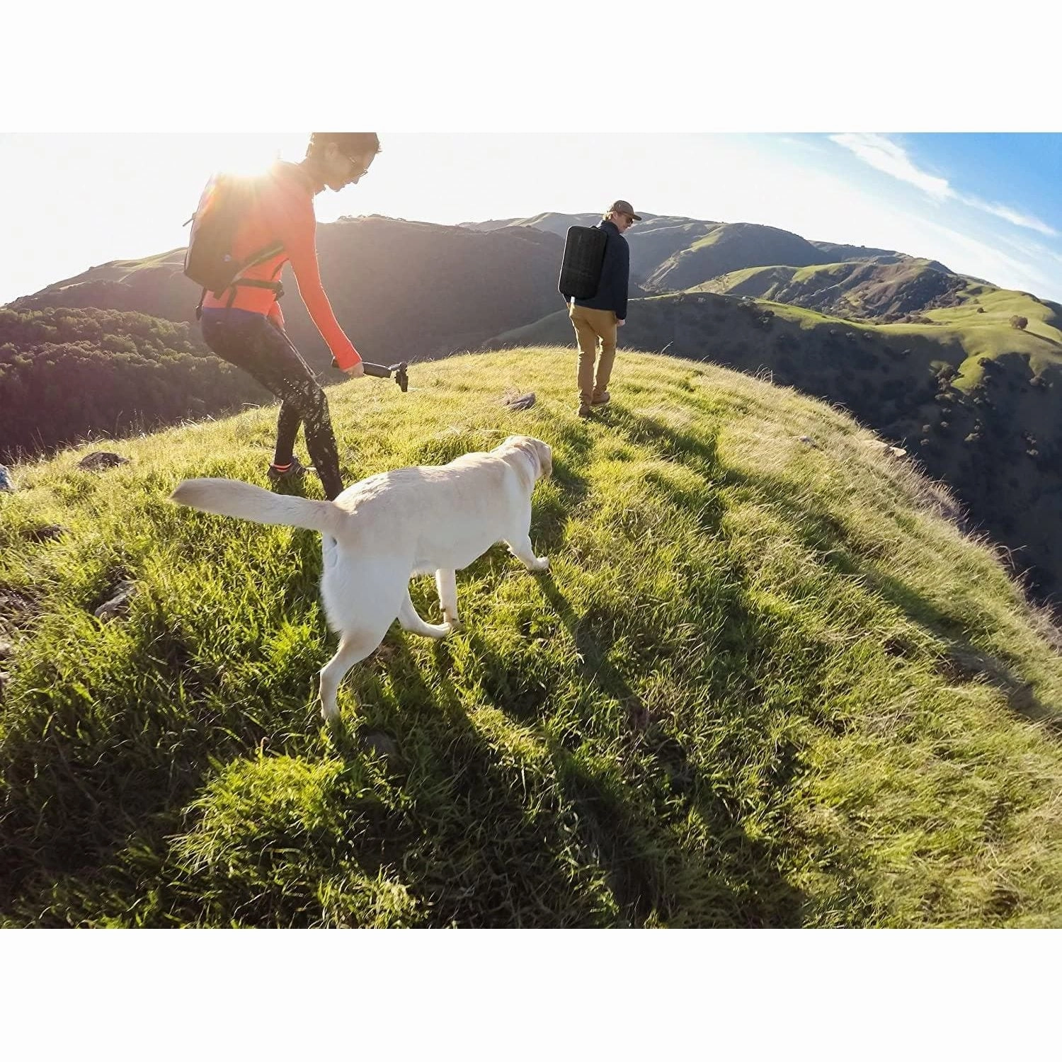 GoPro Karma Grip Stabilizer - Black