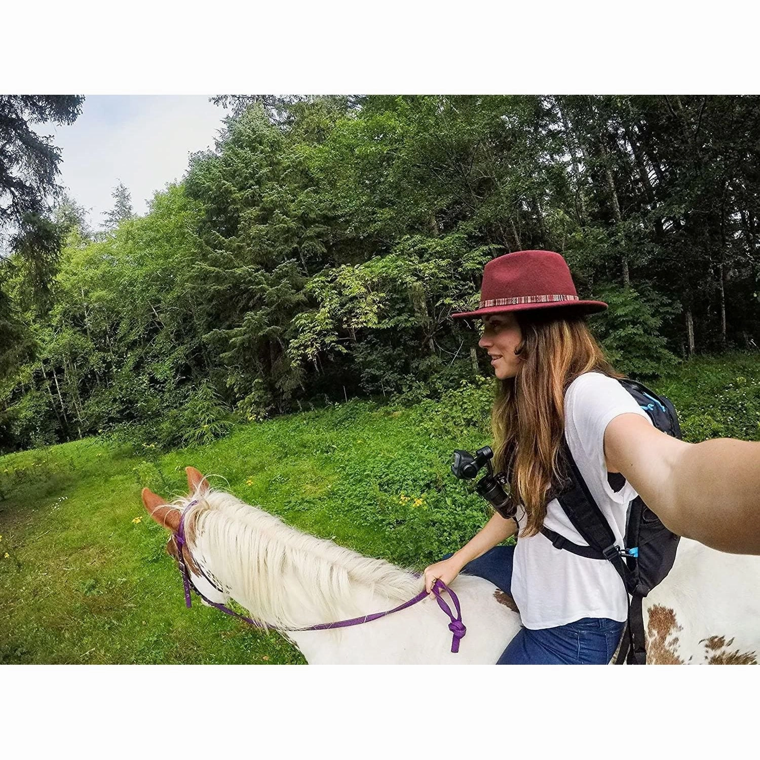 GoPro Karma Grip Stabilizer - Black