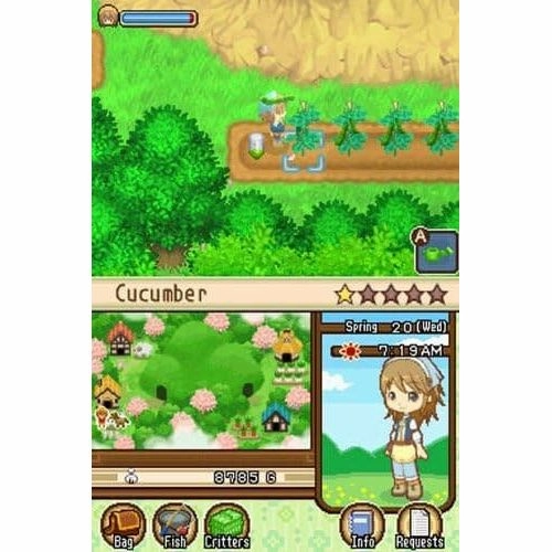 Harvest Moon: Tale of Two Towns - Nintendo DS