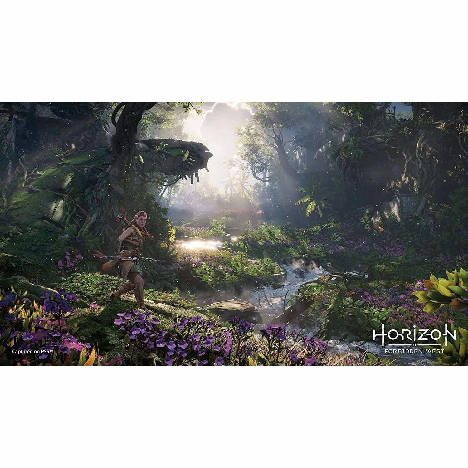 Horizon Forbidden West (PS4)