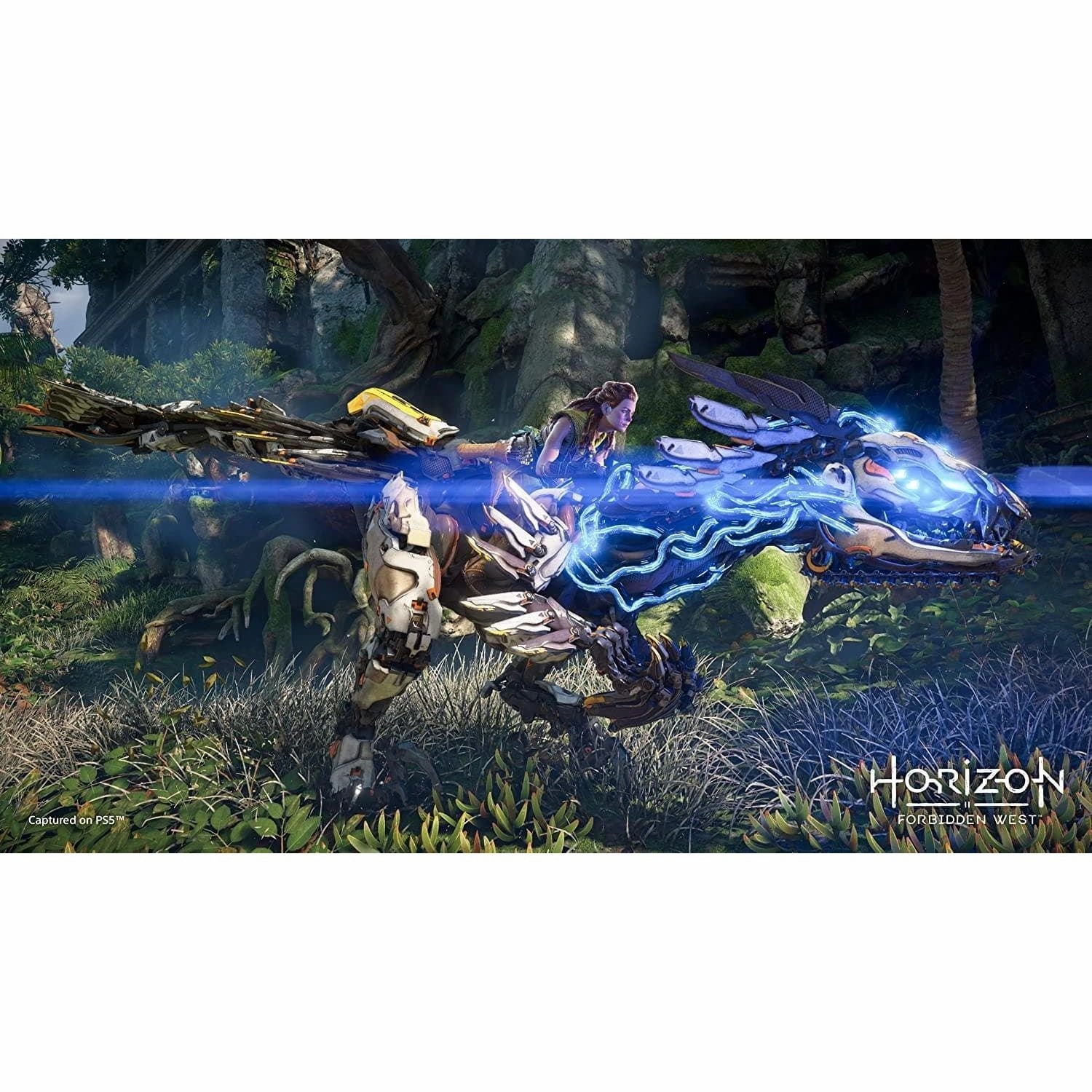 Horizon Forbidden West (PS4)