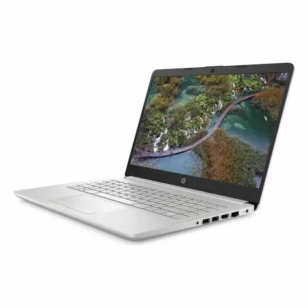 HP 14-cf2517sa Laptop - Intel Pentium Gold 6405U, 4GB RAM, 128GB SSD, Silver