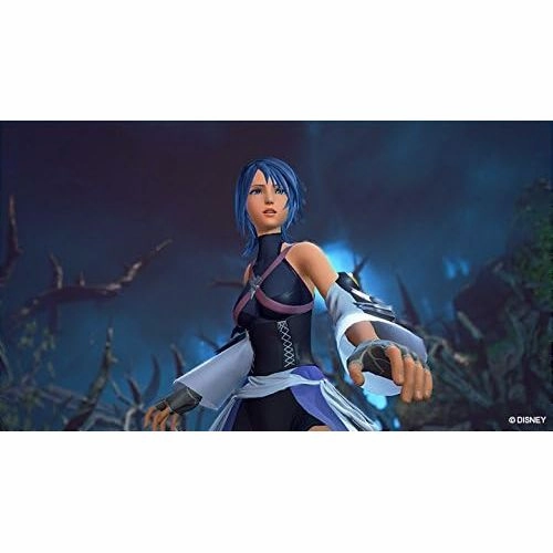 Kingdom Hearts The Story So Far (PS4)