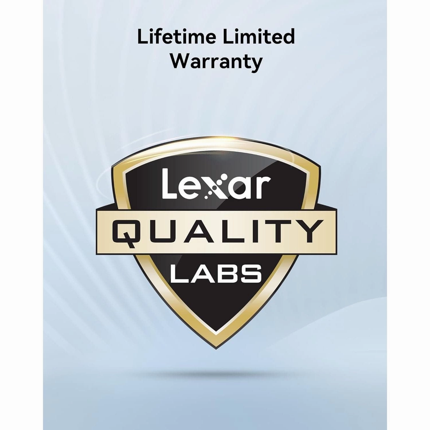 Lexar Silver Pro 64GB SD Card - UHS-II, V60, U3, C10, Up to 280MB/s Read Speed, SDXC for Professional Photographers & Videographers (LSDSIPR064G-BNNAA), Black