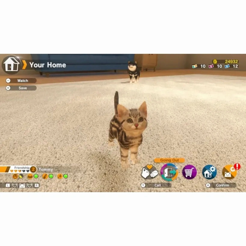 Little Friends: Dogs & Cats - Nintendo Switch Game