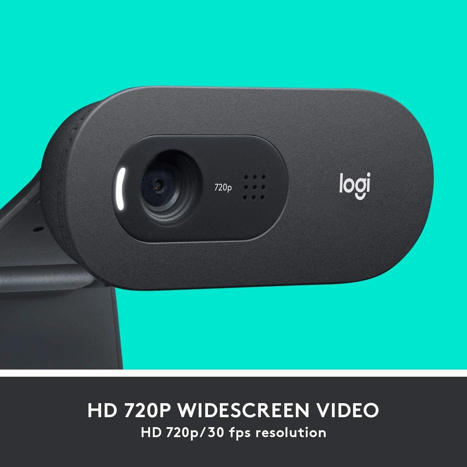 Logitech C505 HD Webcam - Streaming Webcam, 720p HD External USB Camera for Desktop or Laptop with Long-Range Microphone, Compatible with PC or Mac - Grey