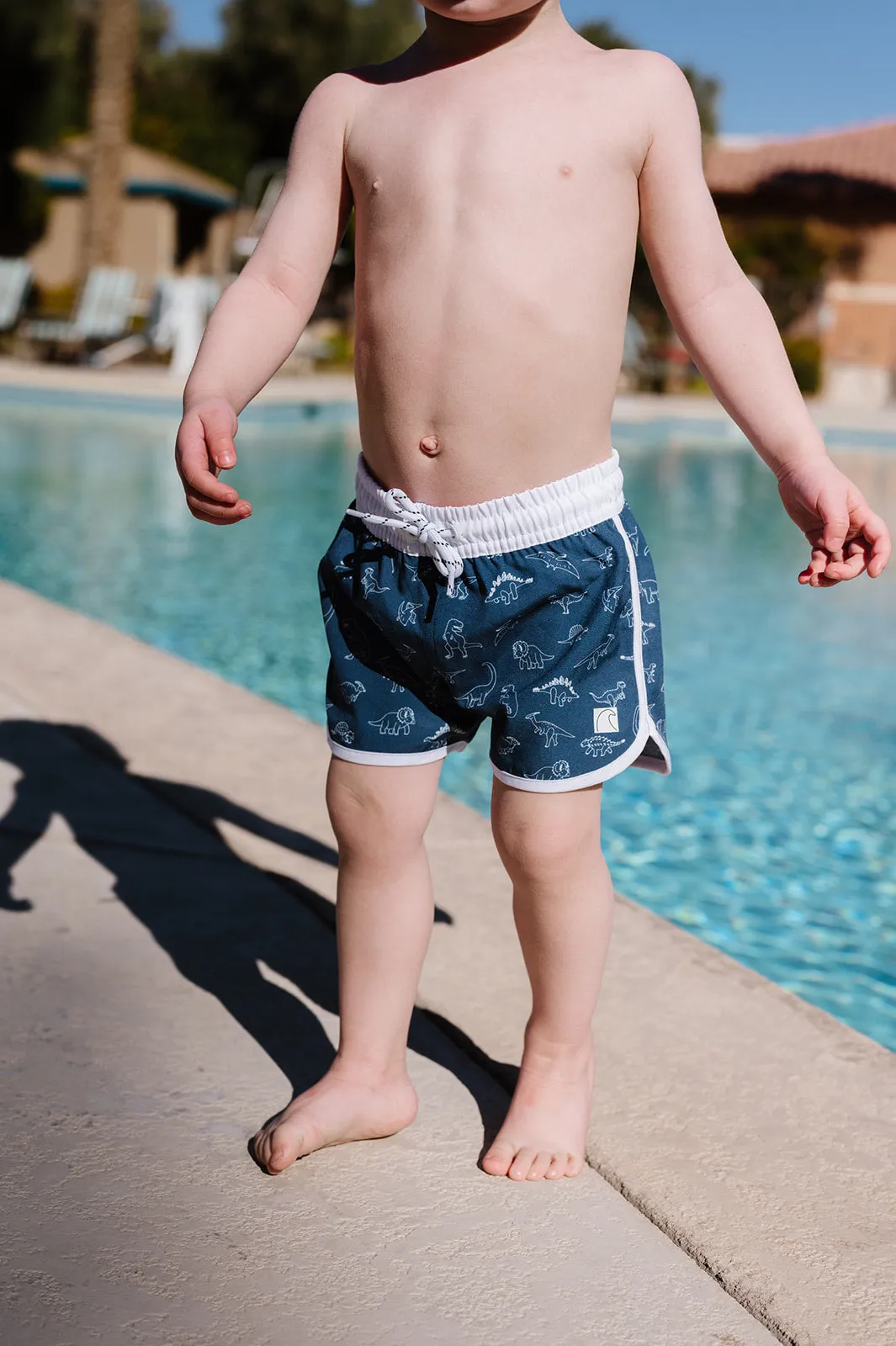 Mini Venture Shorts | Dinosaur Print
